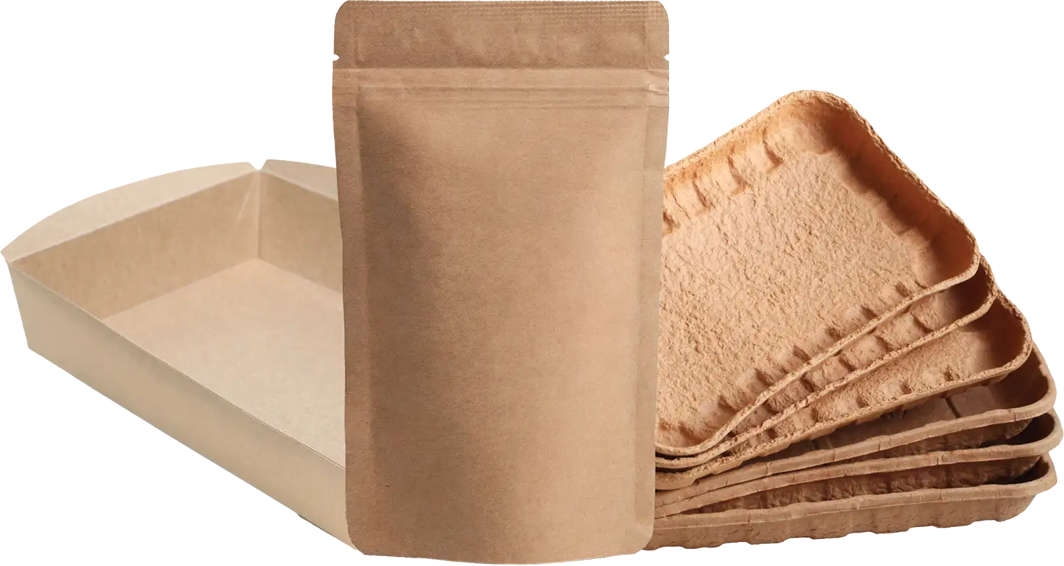 Paper Packaging